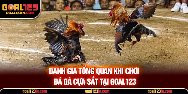 Đánh giá tổng quan khi chơi đá gà cựa sắt tại GOAL123